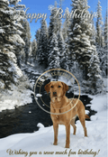 Dog Birthday Card - Winter Snow Scene - The Cozy Corner