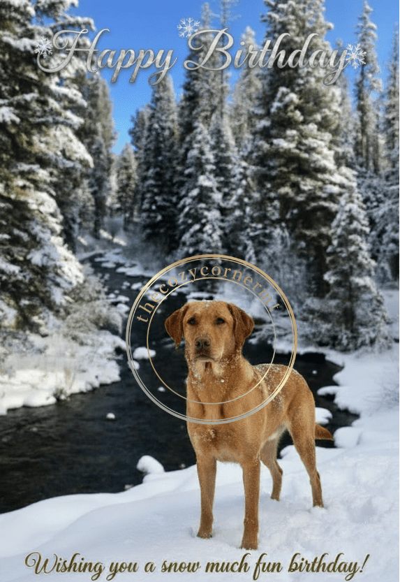 Dog Birthday Card - Winter Snow Scene - The Cozy Corner