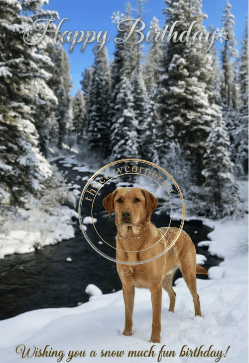 Dog Birthday Card - Winter Snow Scene - The Cozy Corner