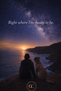 Right Where I'm Meant to Be - Coastal Starry Night E - Card - The Cozy Corner