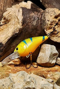 Ray's Custom Crankbait – Green/Orange/Teal Stripe - The Cozy Corner