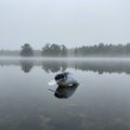 Glassy Shad Crankbait on moody foggy lake background
