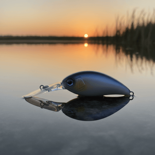 Coyote Baits – Pearl Shad Crankbait - The Cozy Corner