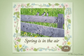 Spring Greeting Card - Spring is in the Air - The Cozy Corner