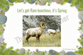 Spring Greeting Card - Let's Get Ram - bunctious - The Cozy Corner