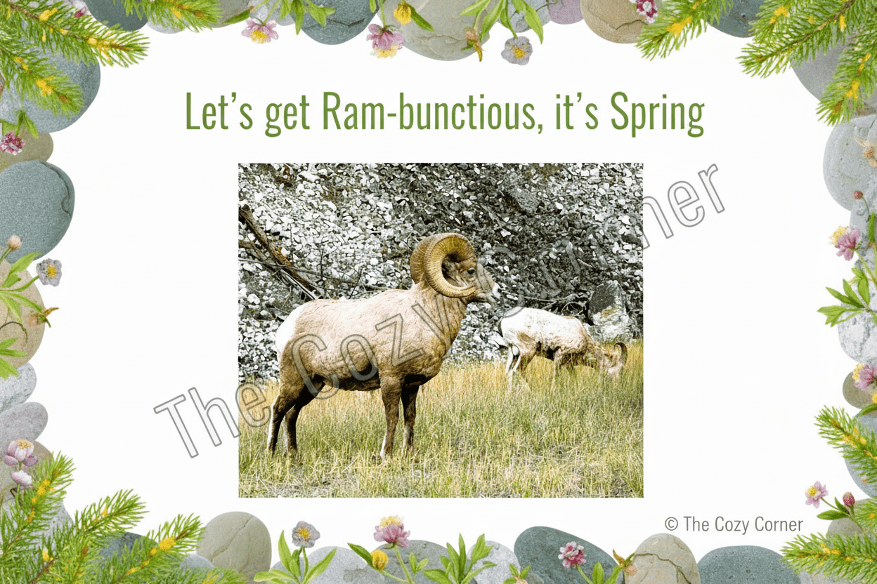 Spring Greeting Card - Let's Get Ram - bunctious - The Cozy Corner
