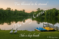 Spring Collection Greeting Card - The Cozy Corner