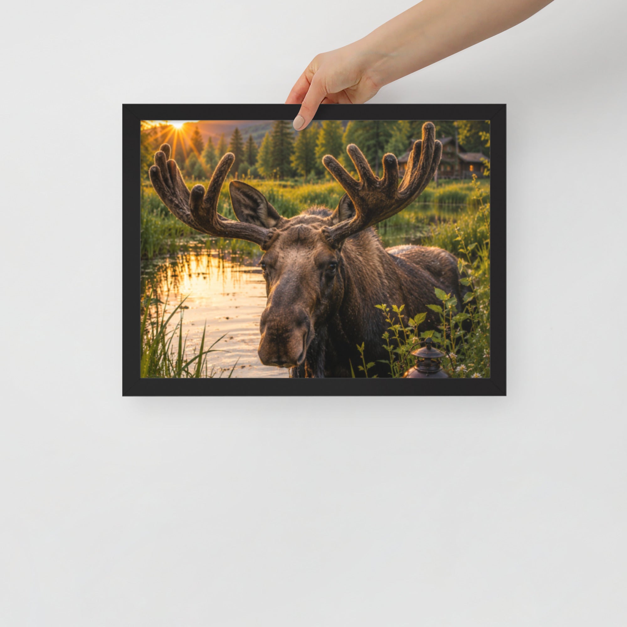 Majestic Moose — Framed Poster - The Cozy Corner
