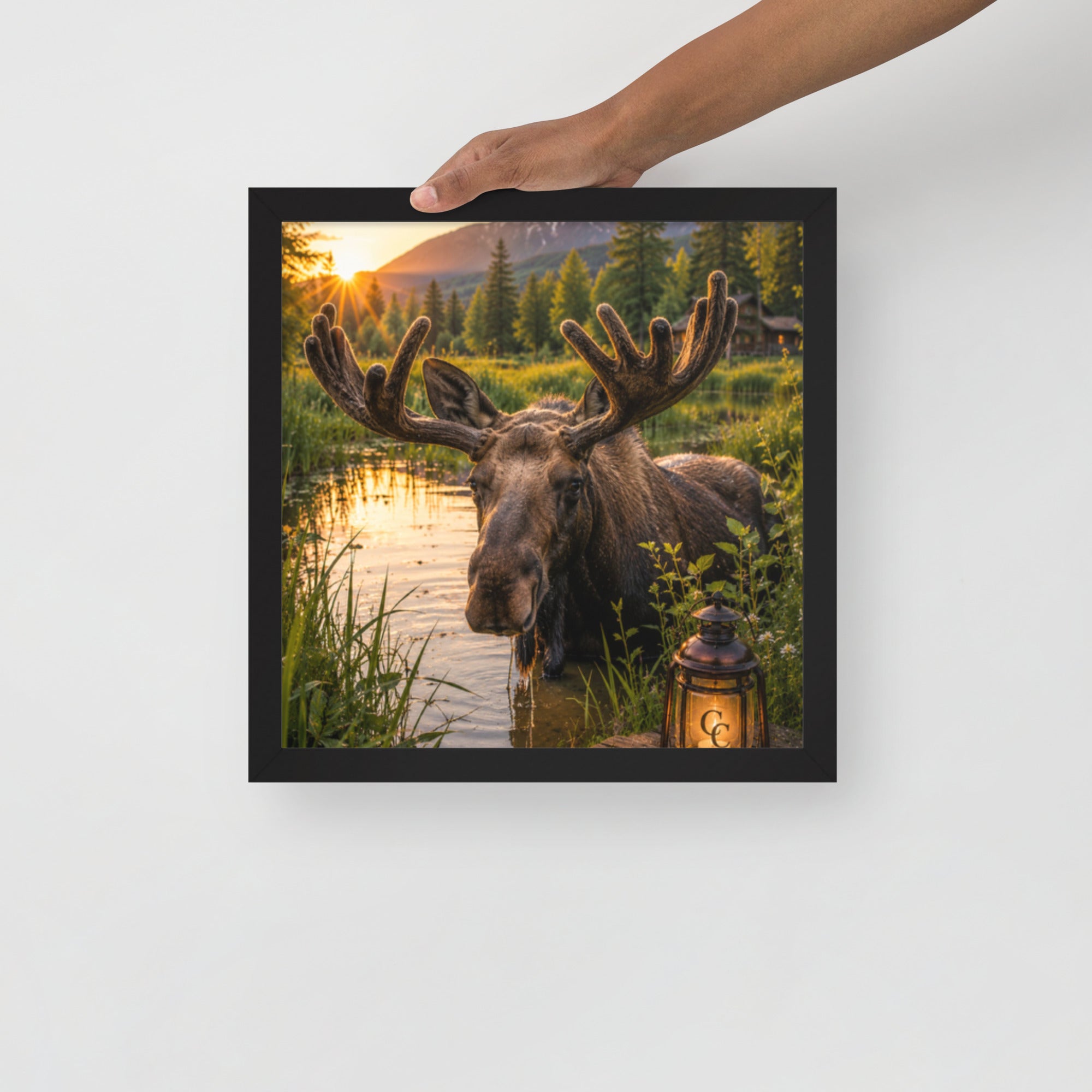 Majestic Moose — Framed Poster - The Cozy Corner