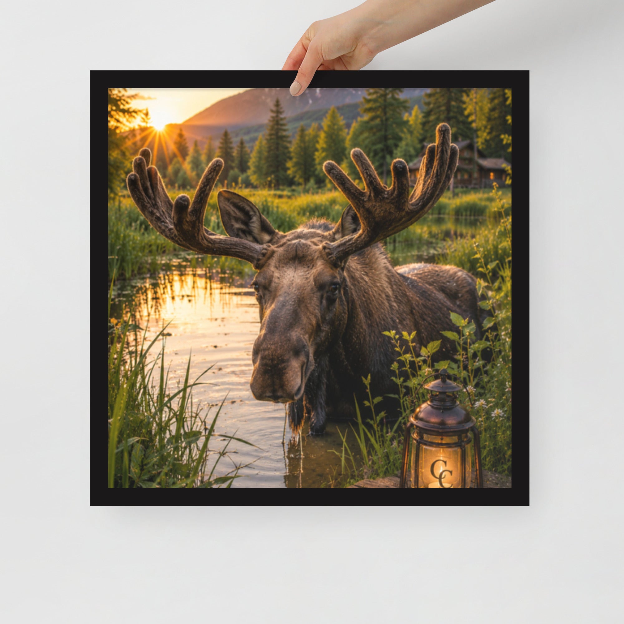 Majestic Moose — Framed Poster - The Cozy Corner