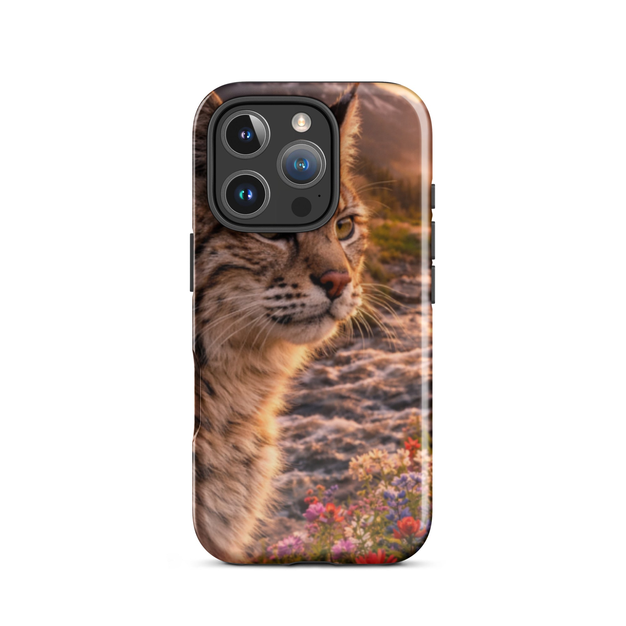 Bobcat — Tough iPhone Case | CC Signature Cases - The Cozy Corner
